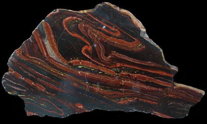 Polished Tiger Iron Stromatolite - ( Billion Years) #62626